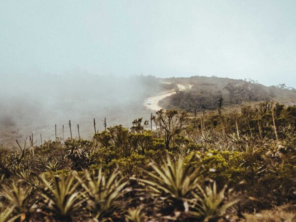 Parque-Nacional-Fray-Jorge